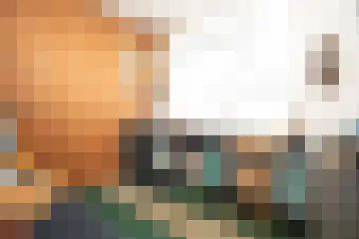 Rootven 47 Moergestel thumbnail 21