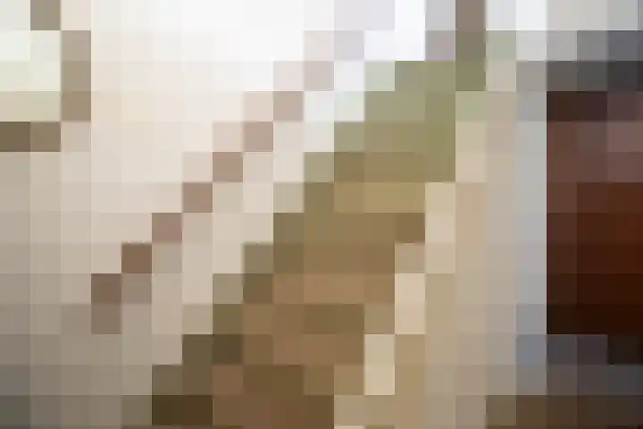 Rootven 47 Moergestel thumbnail 23