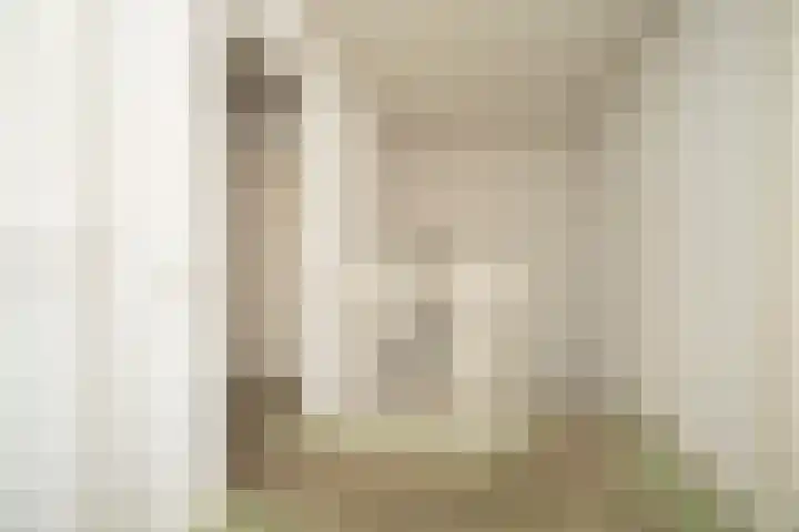 Rootven 47 Moergestel thumbnail 24