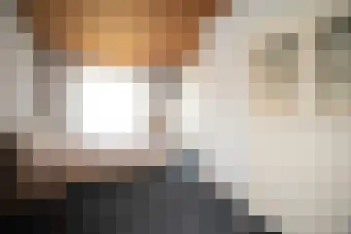 Rootven 47 Moergestel thumbnail 26