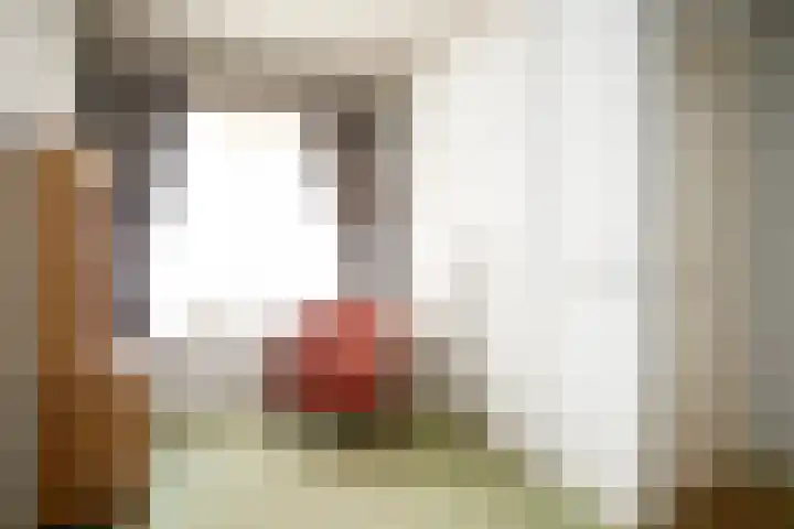 Rootven 47 Moergestel thumbnail 27