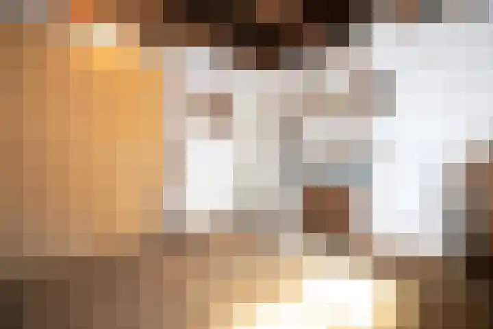 Rootven 47 Moergestel thumbnail 30