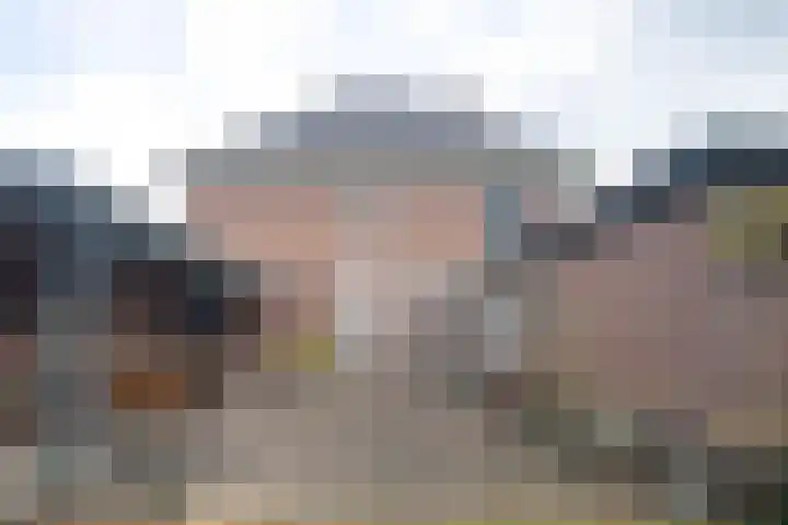 Rootven 47 Moergestel thumbnail 33