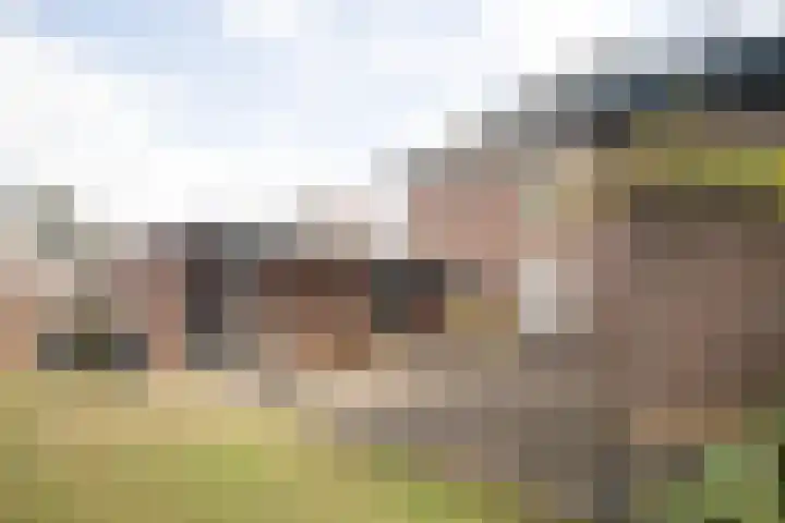 Rootven 47 Moergestel thumbnail 34