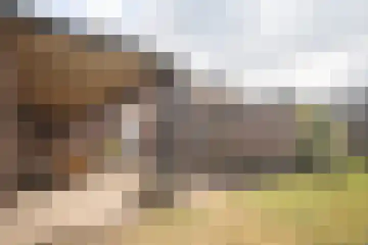 Rootven 47 Moergestel thumbnail 35