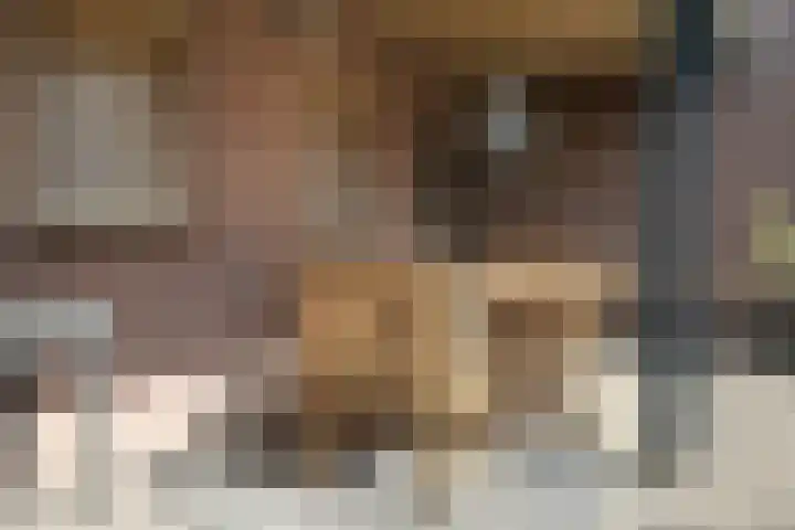 Rootven 47 Moergestel thumbnail 36