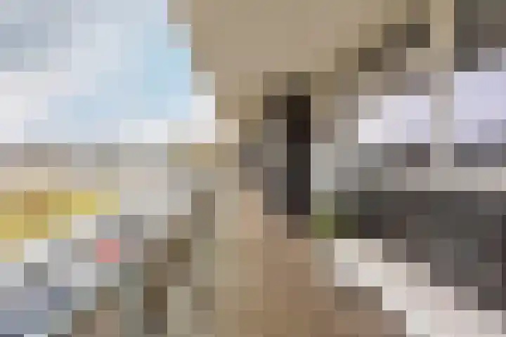 Rootven 47 Moergestel thumbnail 39