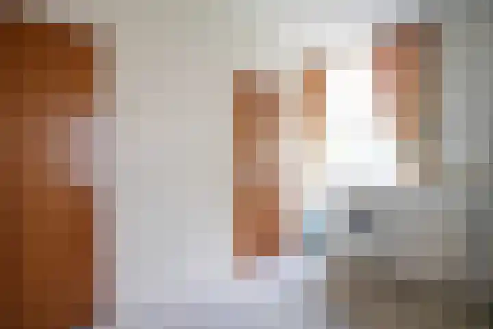 Rootven 47 Moergestel thumbnail 7