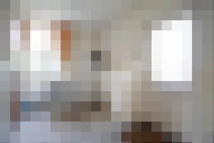 Rootven 47 Moergestel thumbnail 8