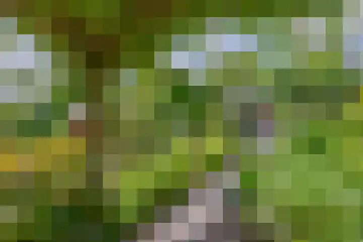 Rooversbroekdijk 60 Lisse thumbnail 30