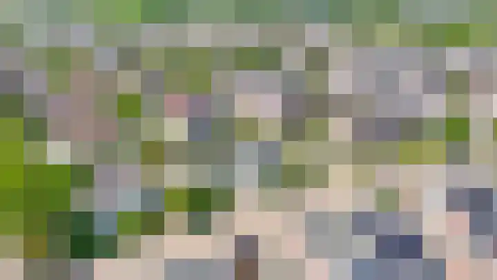 Rooversbroekdijk 60 Lisse thumbnail 36