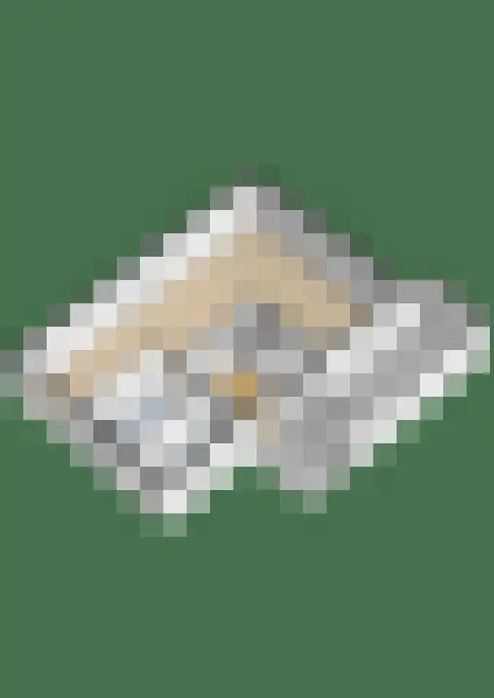 Rooversbroekdijk 60 Lisse thumbnail 39