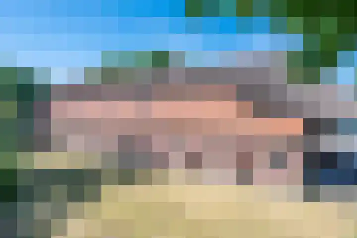 Roovertsebaan 3 Esbeek thumbnail 12