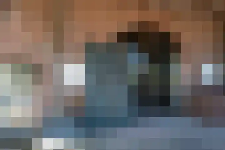 Roovertsebaan 3 Esbeek thumbnail 13