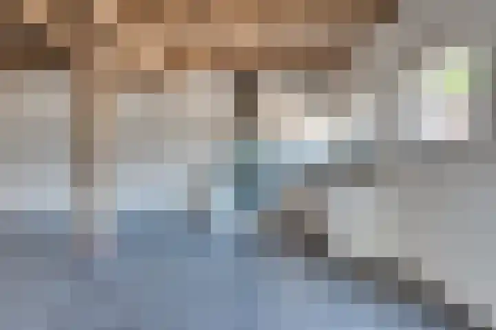Roovertsebaan 3 Esbeek thumbnail 27