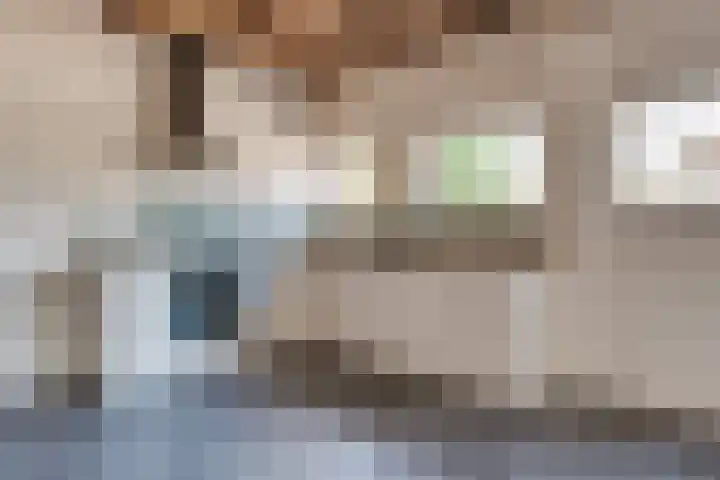 Roovertsebaan 3 Esbeek thumbnail 28