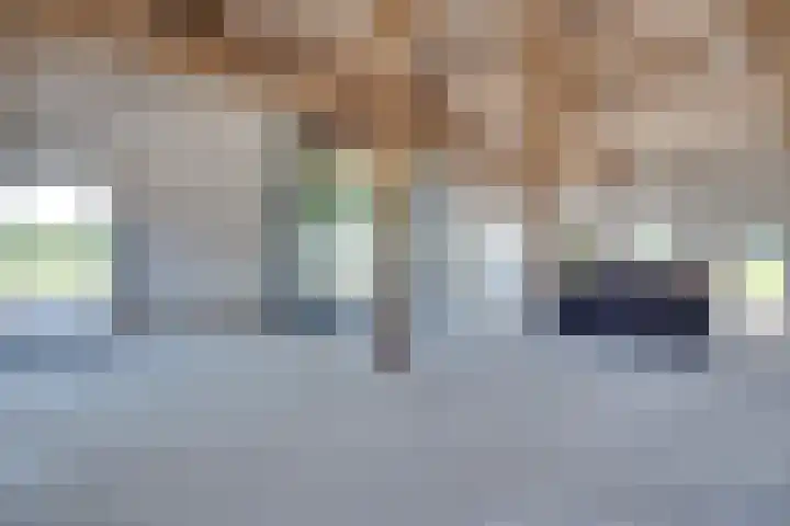 Roovertsebaan 3 Esbeek thumbnail 33