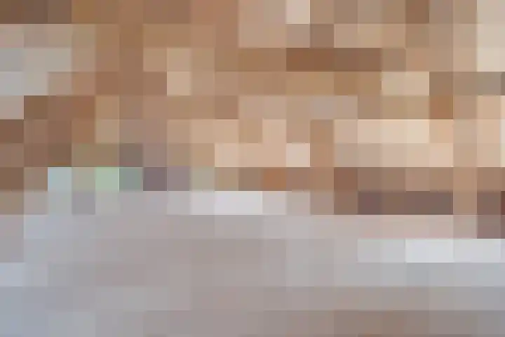 Roovertsebaan 3 Esbeek thumbnail 38
