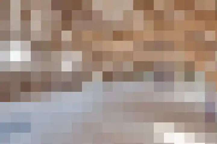 Roovertsebaan 3 Esbeek thumbnail 39