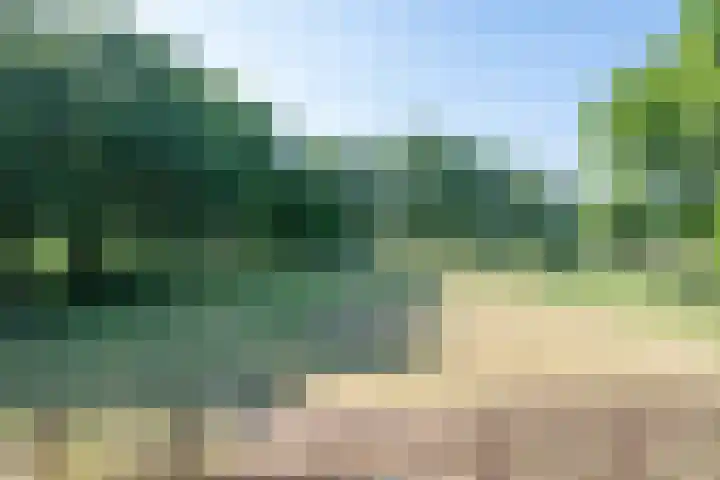 Roovertsebaan 3 Esbeek thumbnail 4