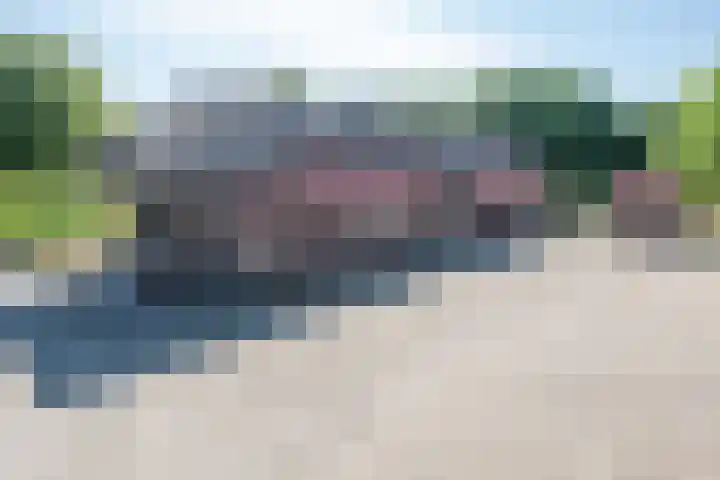 Roovertsebaan 3 Esbeek thumbnail 42