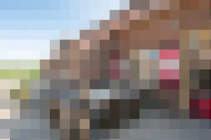 Roovertsebaan 3 Esbeek thumbnail 45