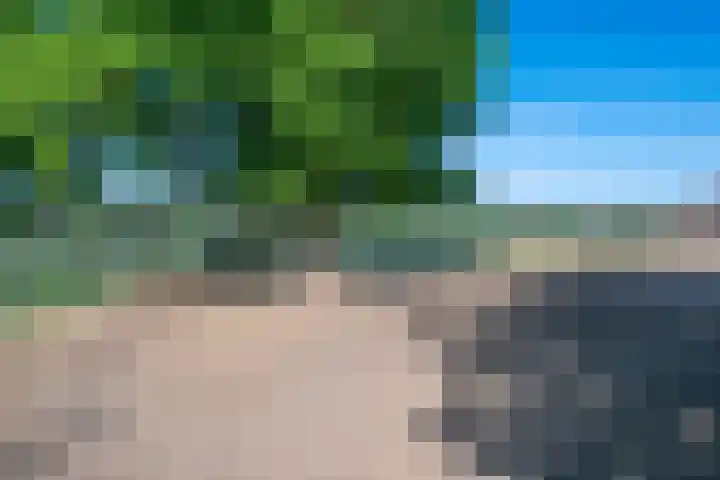 Roovertsebaan 3 Esbeek thumbnail 48