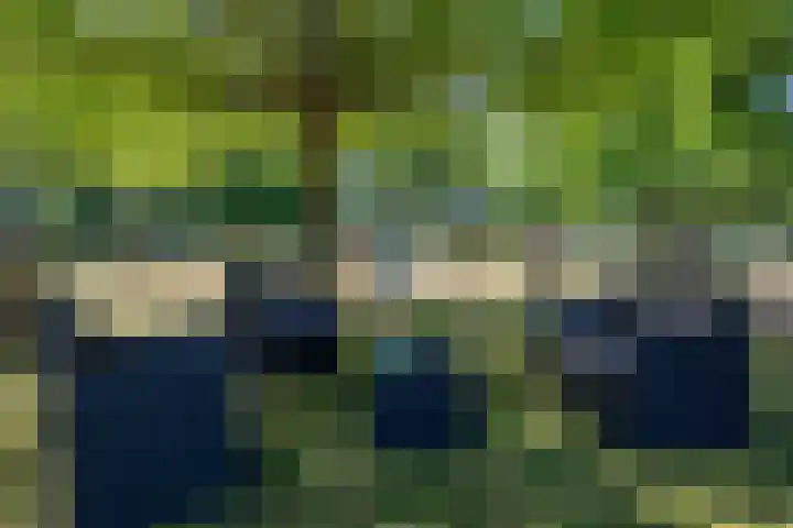 Roovertsebaan 3 Esbeek thumbnail 49