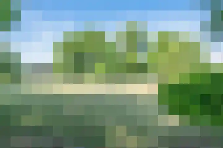 Roovertsebaan 3 Esbeek thumbnail 52
