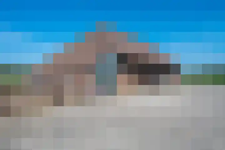 Roovertsebaan 3 Esbeek thumbnail 54