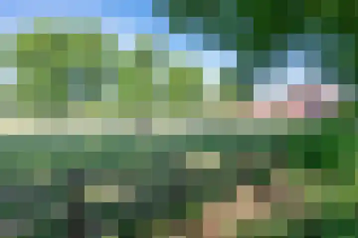 Roovertsebaan 3 Esbeek thumbnail 7