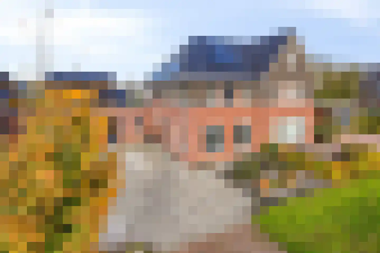 Roringererf 4 Diever