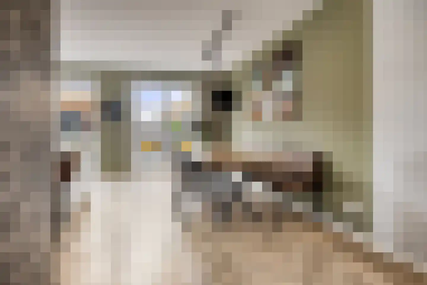 Roringererf 4 Diever thumbnail 10