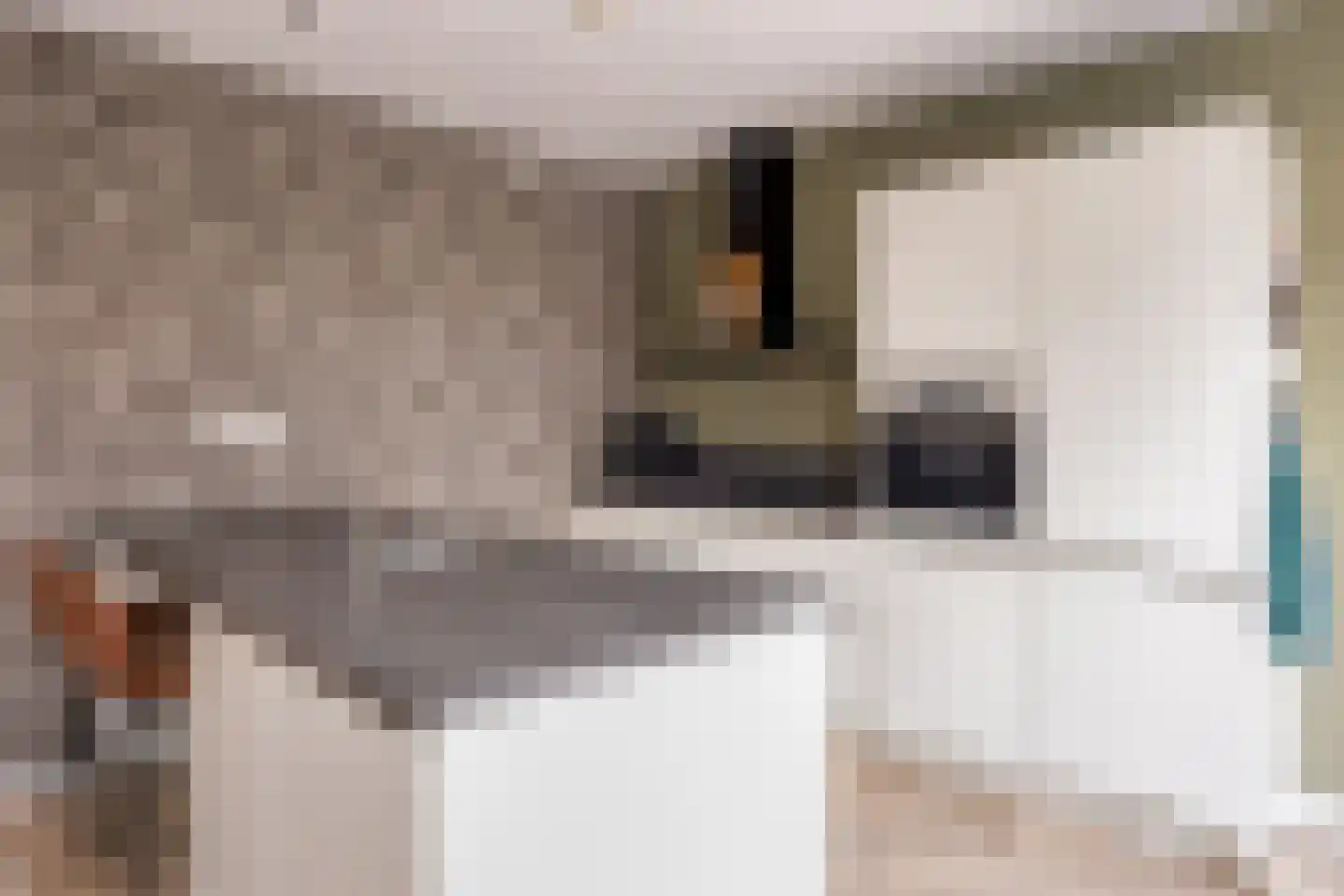 Roringererf 4 Diever thumbnail 11