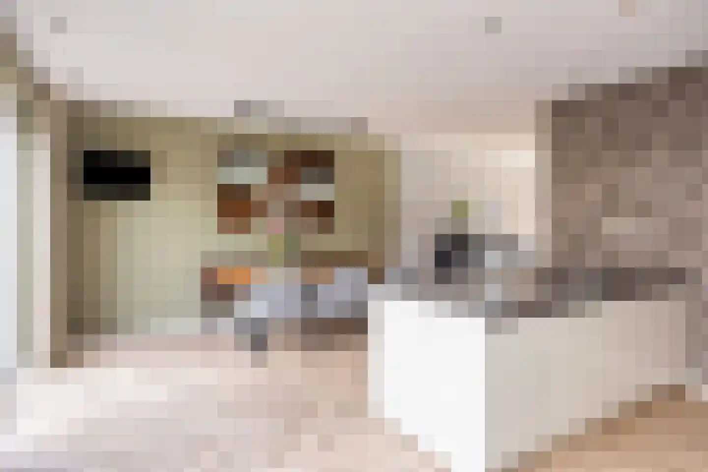 Roringererf 4 Diever thumbnail 12