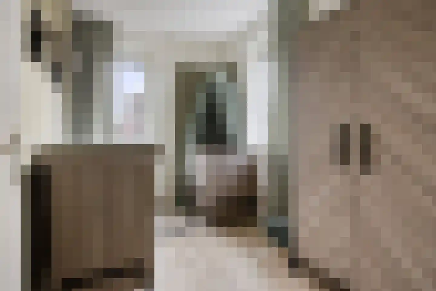 Roringererf 4 Diever thumbnail 21