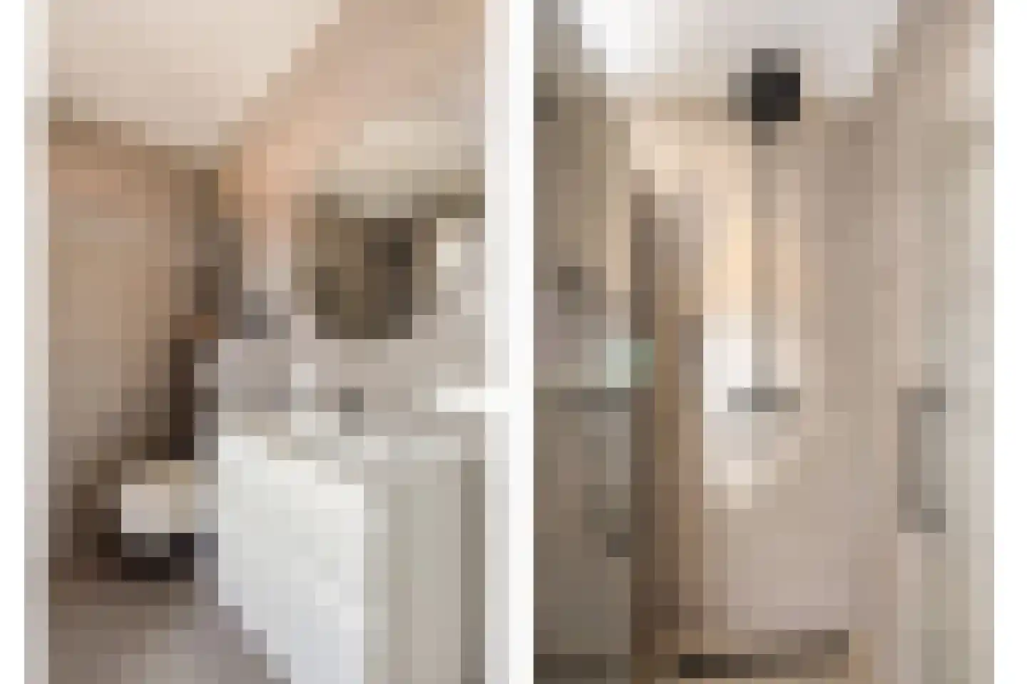 Roringererf 4 Diever thumbnail 23