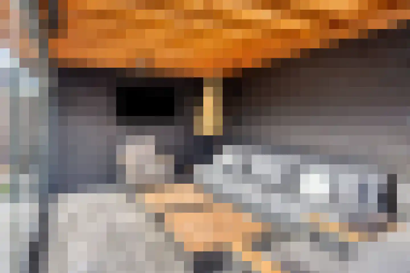 Roringererf 4 Diever thumbnail 28