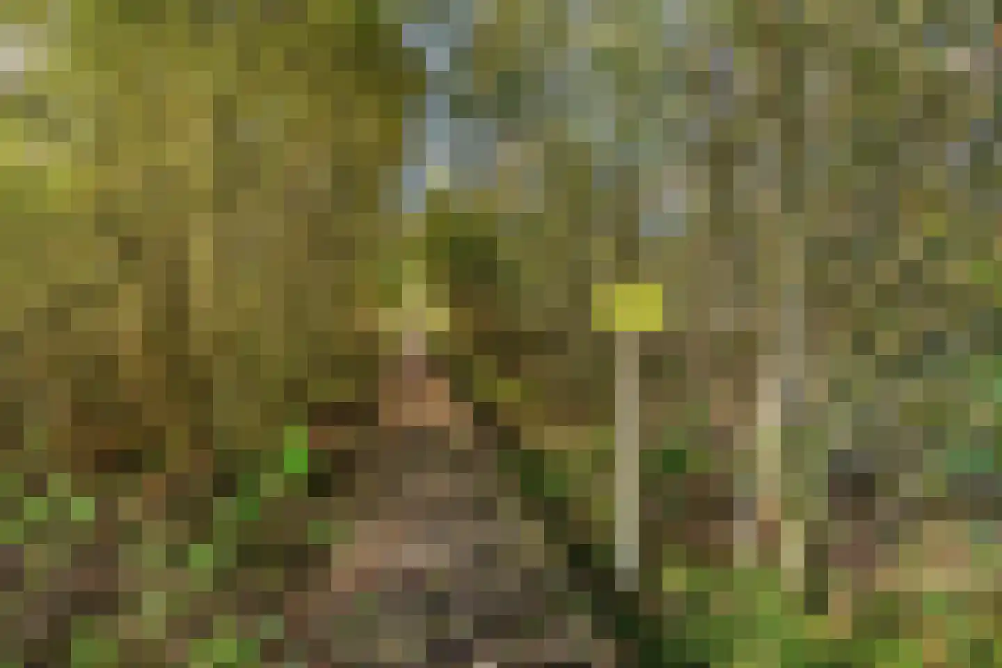 Roringererf 4 Diever thumbnail 35