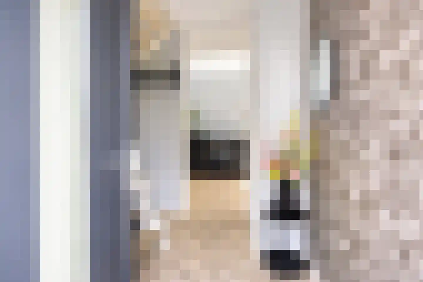 Roringererf 4 Diever thumbnail 6