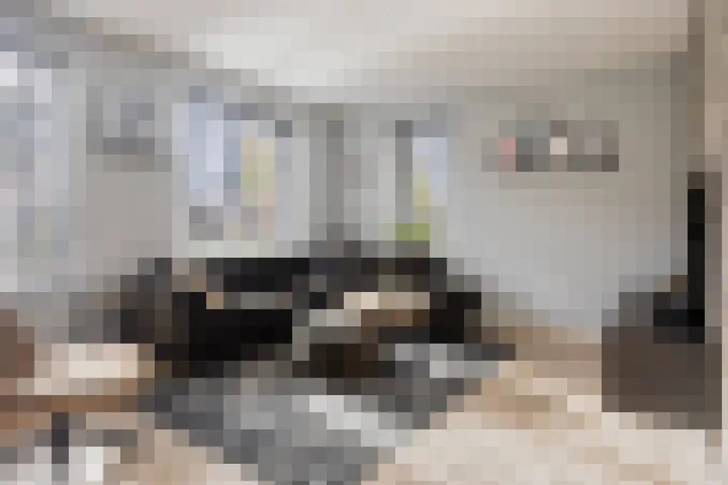 Roringererf 4 Diever thumbnail 8