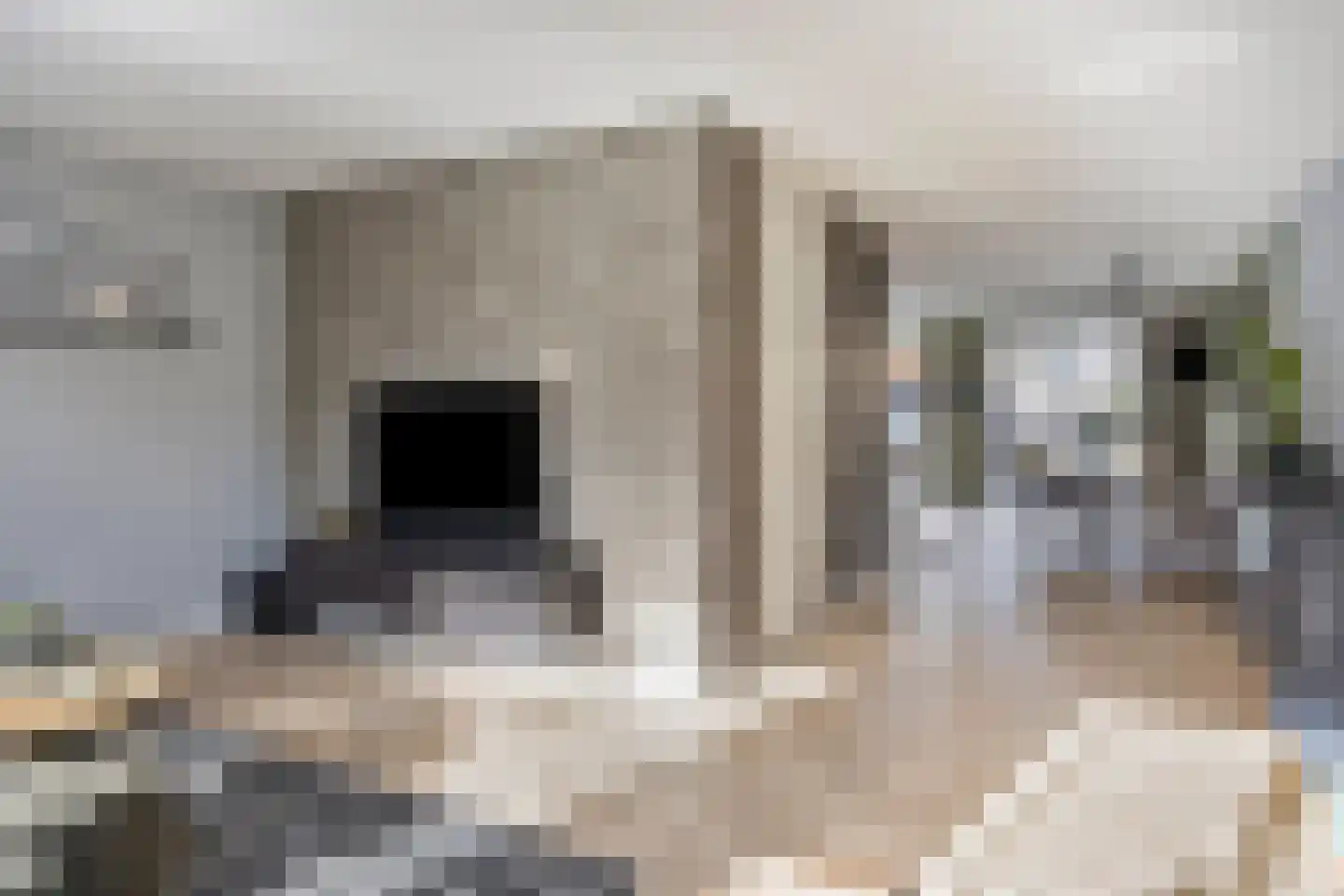 Roringererf 4 Diever thumbnail 9