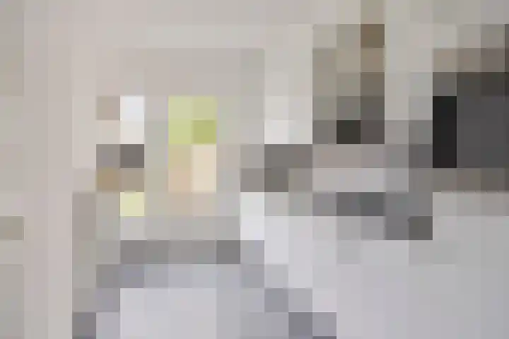 Rosakker 3 Bergeijk thumbnail 13