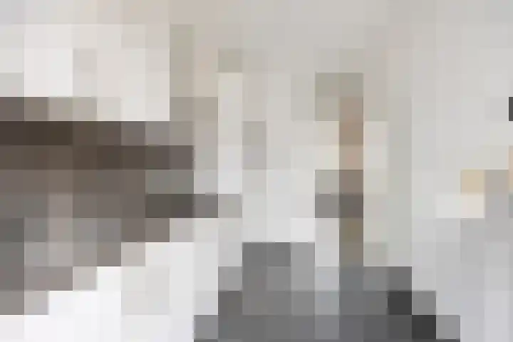 Rosakker 3 Bergeijk thumbnail 14