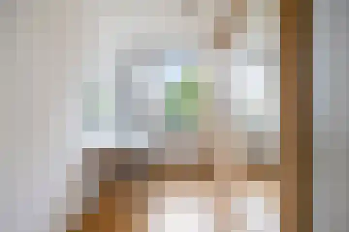 Rosakker 3 Bergeijk thumbnail 19