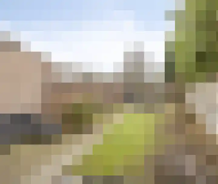 Rosakker 3 Bergeijk thumbnail 24