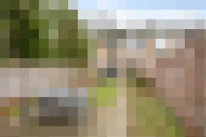 Rosakker 3 Bergeijk thumbnail 25