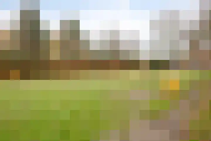 Rosakker 3 Bergeijk thumbnail 26