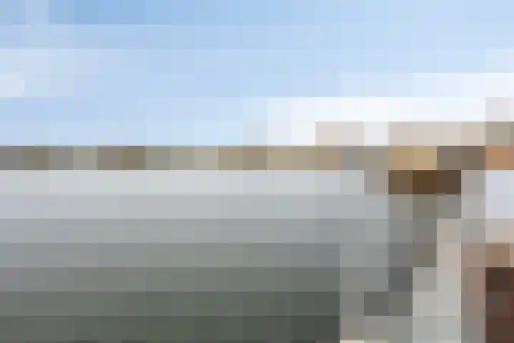 Rosandepolder 42 Arnhem thumbnail 34