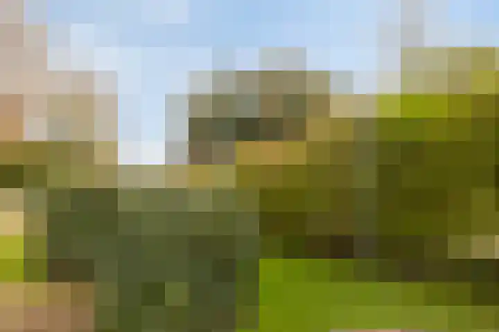 Rosandepolder 42 Arnhem thumbnail 43
